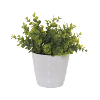 Planta Artificial Crassula 25cm