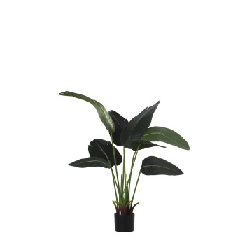 Planta Artificial Pu 120cm Árbol Del Viajero 120cm